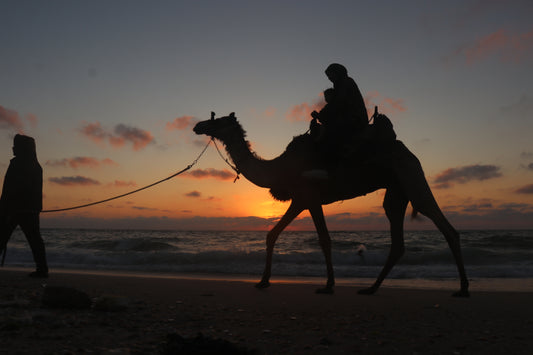 Silhouette of a person riding a camel on Gaza beach at sunset.